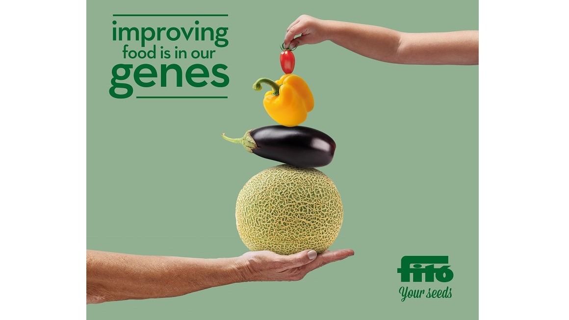 semillas fito fruit logistica|semillas-fito- Tomate-MonteRosa-Mini-02|semillas fito